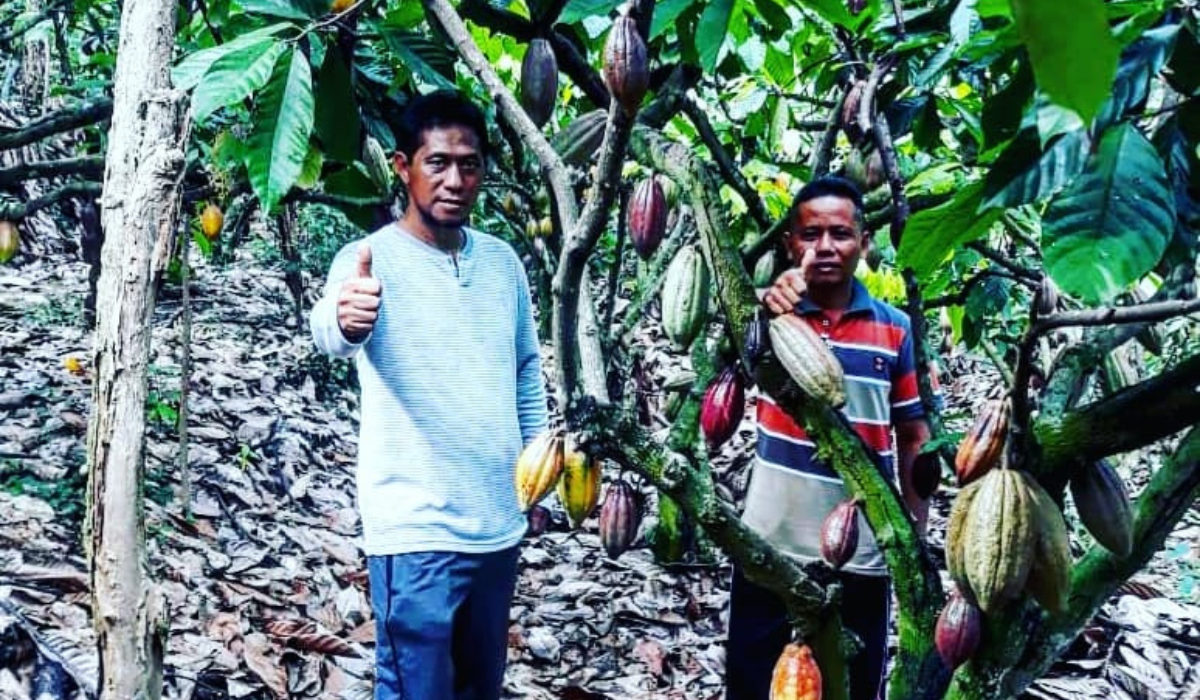 Cocoa Farmers