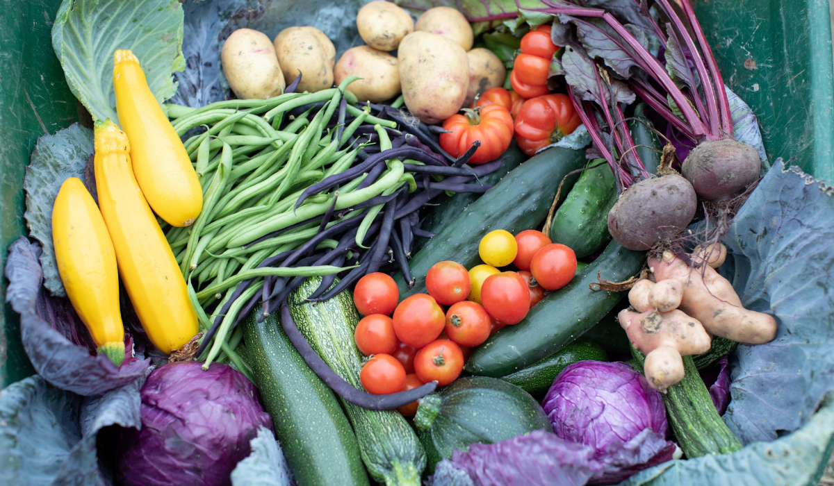 CoFarm charity in Cambridge - Veg stock